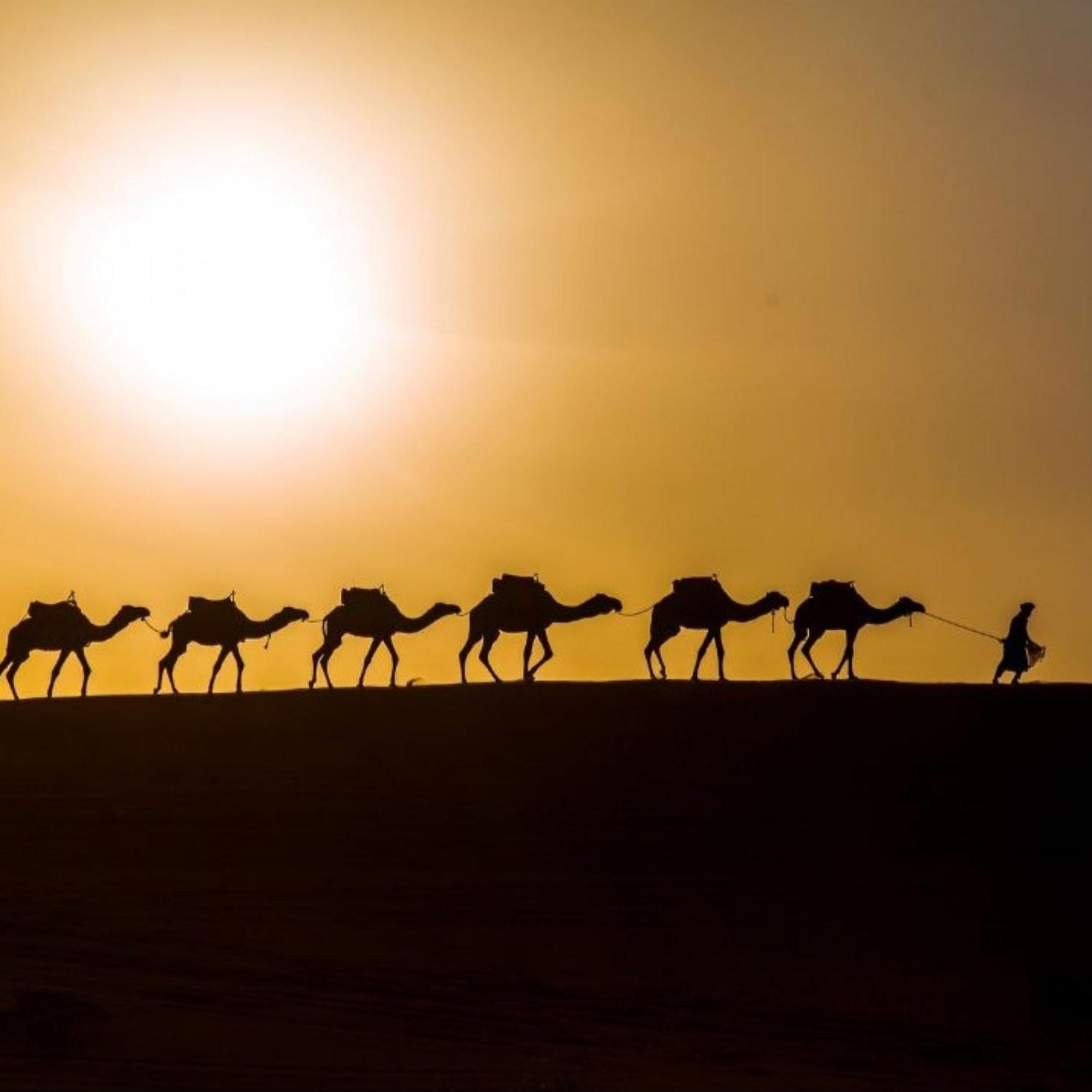 מרזאוגה Erg Chebbi Romantic Desert Camp מראה חיצוני תמונה