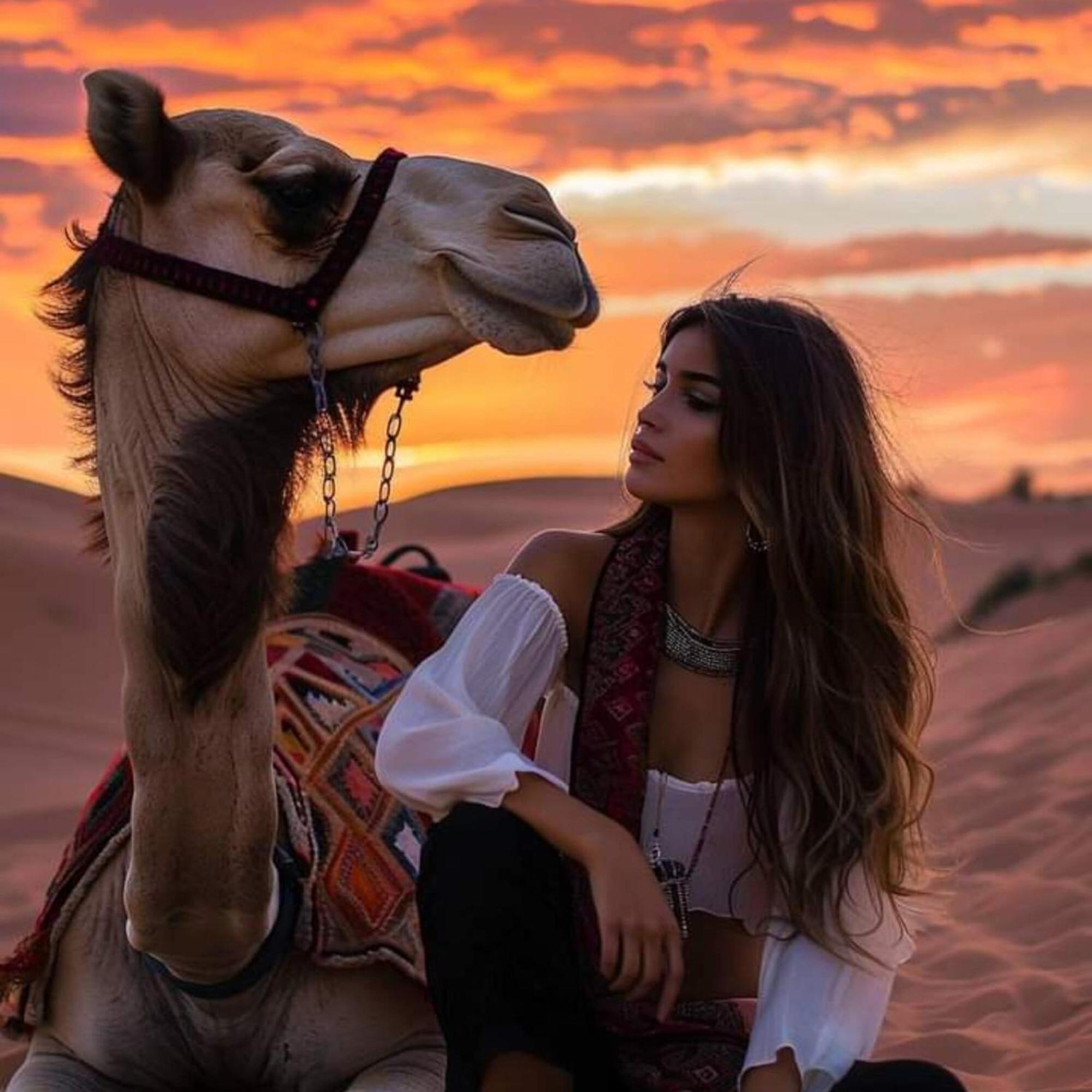 מרזאוגה Erg Chebbi Romantic Desert Camp מראה חיצוני תמונה