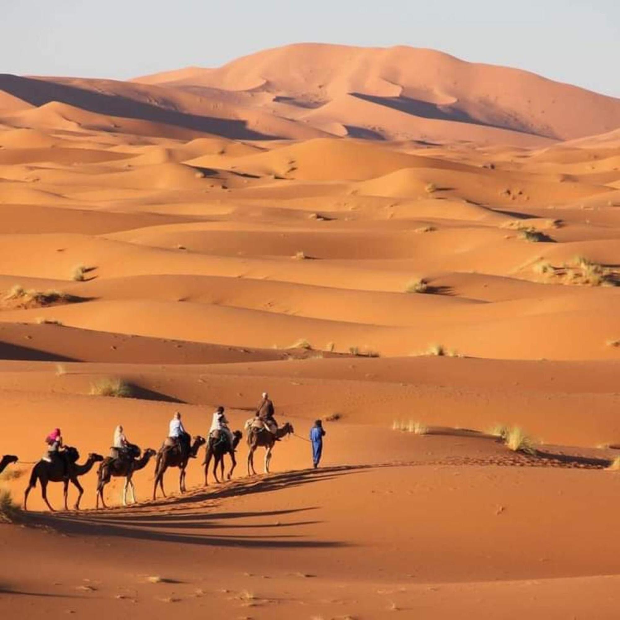מרזאוגה Erg Chebbi Romantic Desert Camp מראה חיצוני תמונה